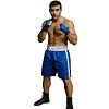 FIGHT-FIT - Boxing Shorts / Boxhosen / Blau-Weiss / Medium