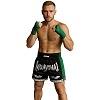FIGHTERS - Thaibox Shorts / Elite Muay Thai / Schwarz-Grün / Medium
