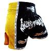 FIGHTERS - Thaibox Shorts / Elite Muay Thai / Schwarz-Gelb / Large