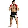 FIGHTERS - Thaibox Shorts / Elite Pro Fighters / Schwarz-Rot