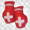 FIGHTERS - Mini Boxhandschuhe - Länder