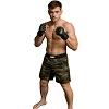 FIGHT-FIT - MMA Shorts / Warrior