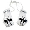 FIGHTERS - Mini Boxhandschuhe - Sports