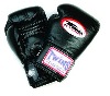 TWINS - Boxhandschuhe Wettkampf